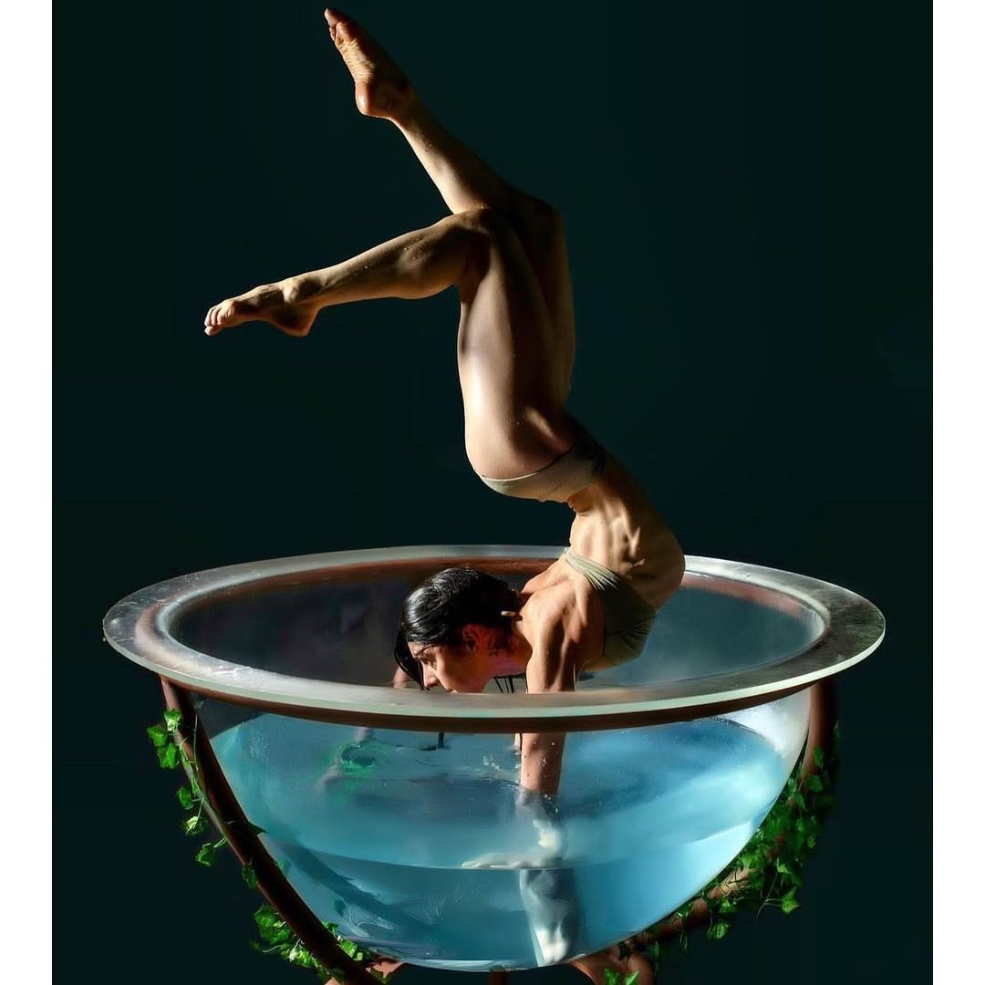 Water Bowl